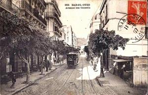 113- Alger - Bab-el-oued - Avenue des conseils